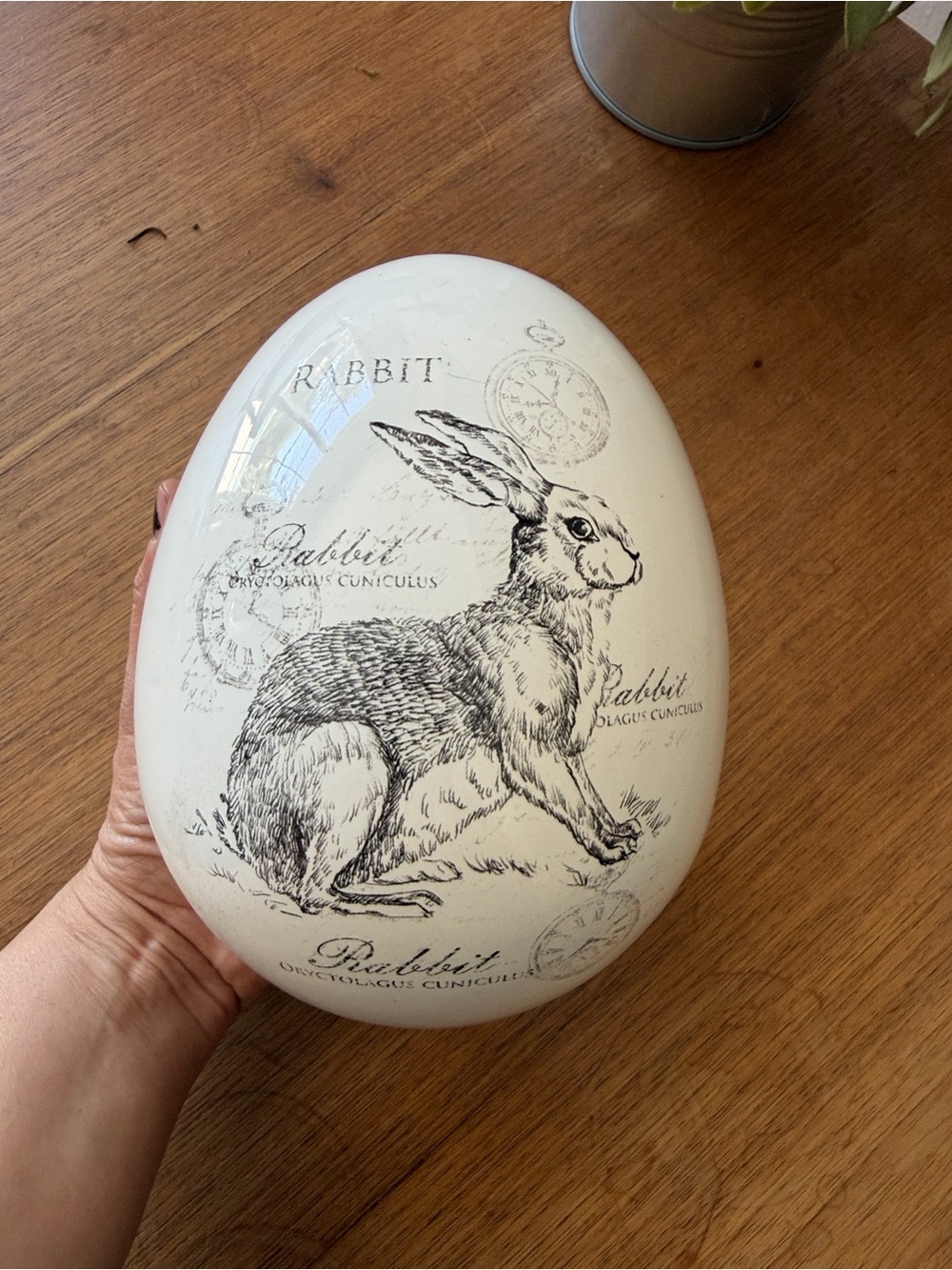 White Rabbit Decorative Accent ceramic egg - Picture 4 of 16